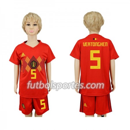 Camisetas Bélgica Vertonghen 5 Niño Primera Equipacion Mundial 2018